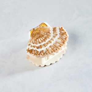 Golden Seashell - Hand-Painted Claw Hair Clip - Solar Eclipse